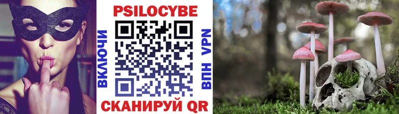 Купить закладки  Муром  Псилоцибиновые грибы GOLDEN TEACHER 